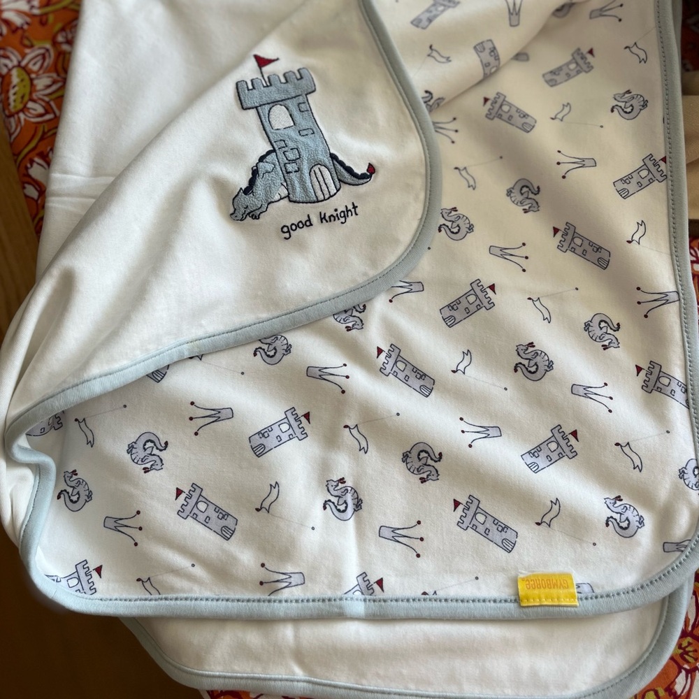 Gymboree Baby Boys Blanket